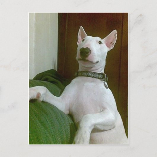 メーラ ポストカード (正面)