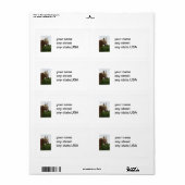 メーリンウマ科のグ ラベル (フルシート)