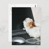 メールして！ ポストカード (正面/裏面)