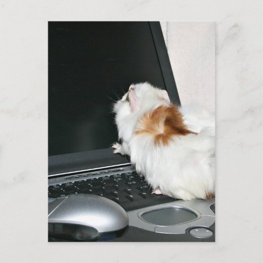 メールして！ ポストカード (正面)