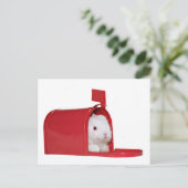 メールの中の愛 ポストカード (スタンド正面)