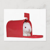 メールの中の愛 ポストカード (正面)