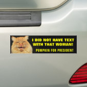 メールや文字を打つ?この猫じゃない! バンパーステッカー (車上)