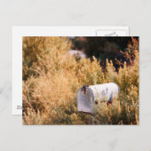 メールを待っている。 ポストカード (正面/裏面)