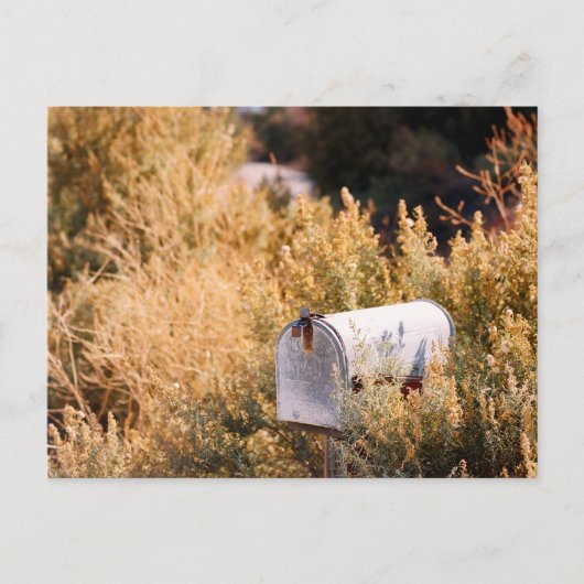 メールを待っている。 ポストカード (正面)