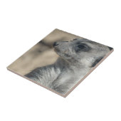 メールカおもしろいット タイル (側面)