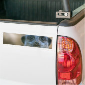 メールカおもしろいット バンパーステッカー (トラック上)