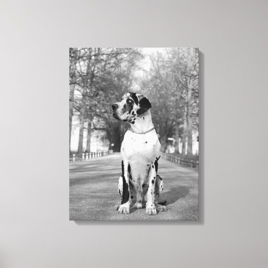 メールテイルジェドゲンビルド キャンバスプリント (正面)