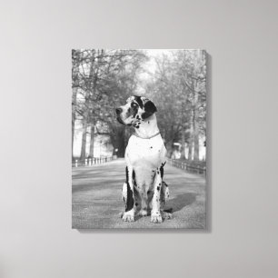 メールテイルジェドゲンビルド キャンバスプリント