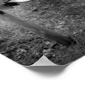 メールボックカー ポスター (角)