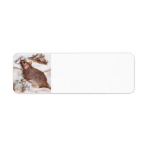 メールボックスのモリーラベル