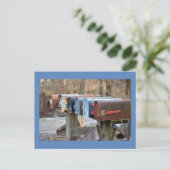 メールボックスの写真 ポストカード (スタンド正面)