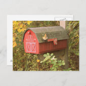 メールボックスはがき ポストカード (正面/裏面)