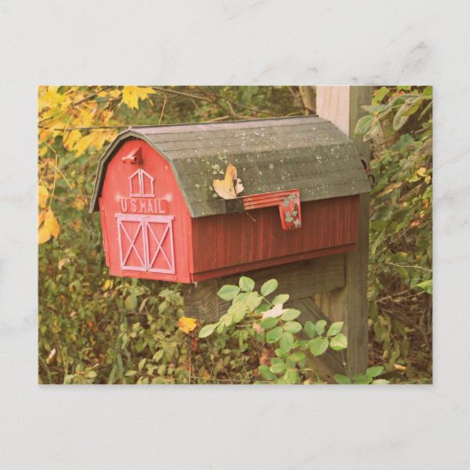 メールボックスはがき ポストカード (正面)