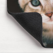 メールボックス内の子猫 マウスパッド (コーナー)