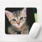 メールボックス内の子猫 マウスパッド (マウス)