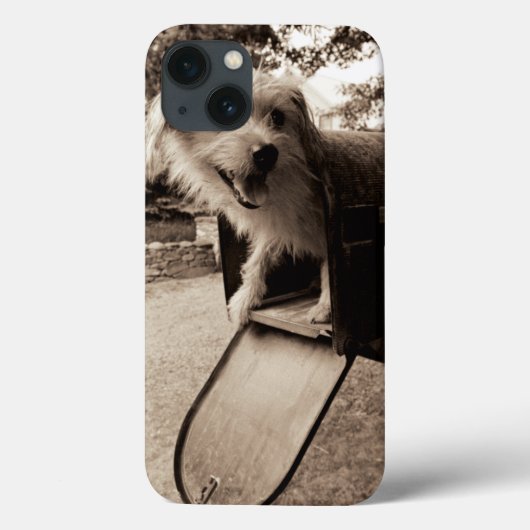 メールボックス内の犬 Case-Mate iPhoneケース (裏面)