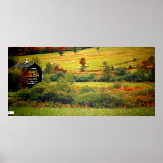 メールポーチバーンプスタ ポスター (正面)