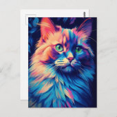 メーンカラフルクーンキャット ポストカード (正面/裏面)