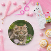 メーンクーンキッテンキャットインザメドウおもしろいパーティー ペーパープレート (パーティー)