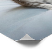 メーンクーンキッテン ポスター (角)