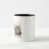 メーンクーンキャッツ ツートーンマグカップ (中央)