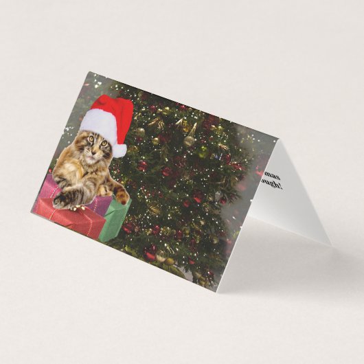 メーンクーンキャットサンタ&ギフトクリスマスツリーの背後 (正面)