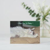 メーンクーンキャットスリーピングポストカード ポストカード (スタンド正面)