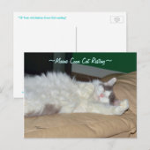 メーンクーンキャットスリーピングポストカード ポストカード (正面/裏面)