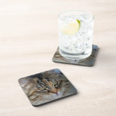 メーンクーンキャットポトレイト コースター (右側)