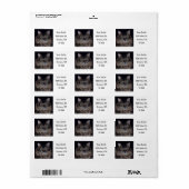 メーンクーンキャットラベル ラベル (フルシート)