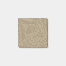 メーンクーンキャット猫3 x 3