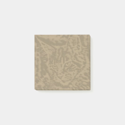 メーンクーンキャット猫3 x 3 ポストイット (正面)