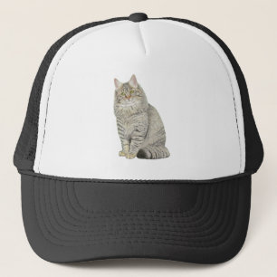 メーンクーンキャット キャップ