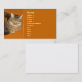 メーンクーンキャット 名刺 (正面/裏面)