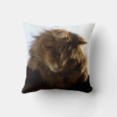 メーンクーンロングヘアタブビーキャット クッション (裏面)