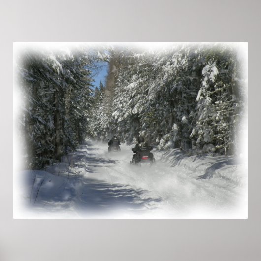 メーントレイル ポスター (正面)