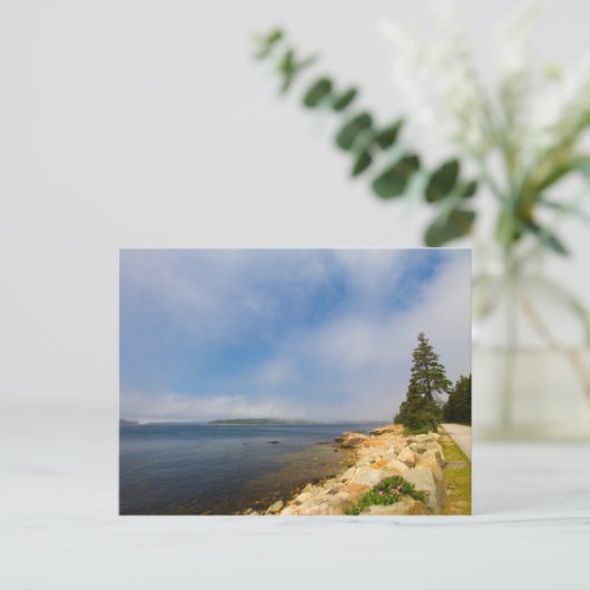 メーン州アカディア国立公園のスオディック半島 ポストカード (スタンド正面)