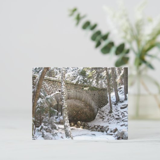 メーン州アカディア国立公園の石橋 ポストカード (スタンド正面)