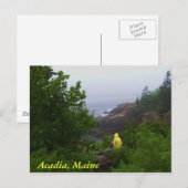 メーン，アカディア ポストカード (正面/裏面)