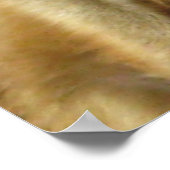 メ魅力的ールカートの写真 ポスター (角)