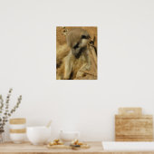 メ魅力的ールカートの写真 ポスター (キッチン)