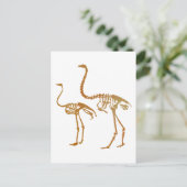 モアとダチョウの骨格 ポストカード (スタンド正面)