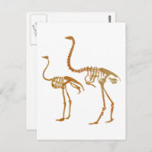 モアとダチョウの骨格 ポストカード (正面/裏面)