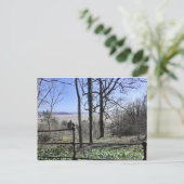 モアカムベイの景色 ポストカード (スタンド正面)