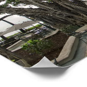 モアナシュルフリダーバンヤンコートワイキキビーチ ポスター (角)