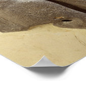 モアビテ嵐の神、シーハン古代モアブの土地、c。 ポスター (角)