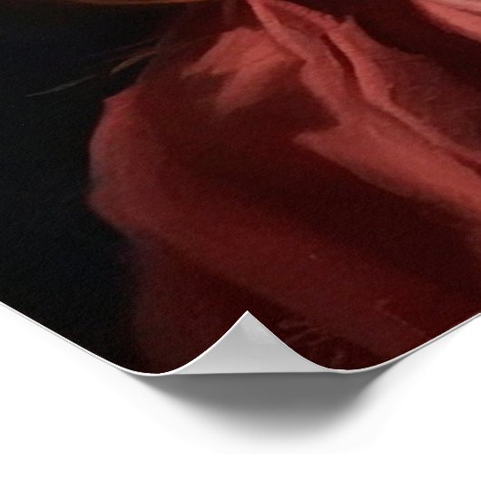 モイベアル ポスター (角)