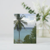 モイラアットいかり、バイアドレイク、コスタリカ ポストカード (スタンド正面)