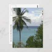 モイラアットいかり、バイアドレイク、コスタリカ ポストカード (正面/裏面)